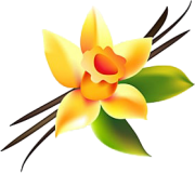 brand-logo
